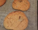 A picture of step 9 of Peanut Butter & Chocolate Cookies.
