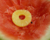 Foto del paso 7 de la receta: Postre sandía sorpresa de frutas