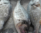 Foto del paso 1 de la receta: Doradas a la sal, eneldo y romero
