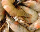 A picture of step 2 of Rigatone with Shrimp/Pasta con i gamberetti.