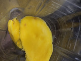 Licuado🥤de Mango🥭y Melón🍈refrescante🍹🥛🧋