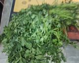 A picture of step 1 of Instant ready coriander chutney.