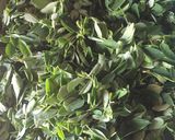 A picture of step 1 of Moringa Salad (dambun zogale).