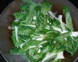A picture of step 9 of Bok Choy, Stir Fry.
