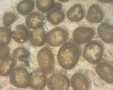 A picture of step 5 of Mins Jalapeno Popper Casserole.