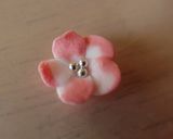 A picture of step 9 of Sugar-crafted Flowers.