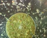 कच्चे आम की चटनी (kacche aam ki chutney recipe in Hindi) रेसिपी चरण 2 फोटो