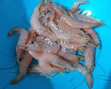Foto del paso 1 de la receta: Gambas frescas salteadas al ajillo y perejil