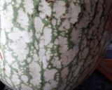Foto del paso 1 de la receta: Dulce de Cayote