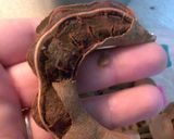 A picture of step 1 of agua de tamarindo.
