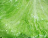 A picture of step 6 of Eat a Whole Lettuce! Mixed with Shio-Kombu.