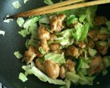 A picture of step 4 of Cabbage and Chicken Asian Stir-fry.