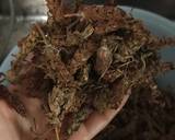 Cara Membuat Teh Herbal PrunellaHa Fu ChoSia Khu CauTeh Herbal China 1