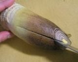 A picture of step 2 of How to Boil Bamboo Shoots & Store in Jars (for Over 1 Year).