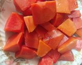 A picture of step 1 of Papaya chat.