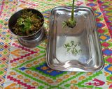 પાપડી નું શાક (Papdi Shak Recipe In Gujarati) રેસીપી સ્ટેપ2ફોટો