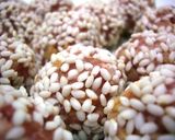 A picture of step 4 of Steamed Chinese Pearl Meatballs.