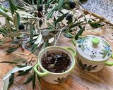 Une image de l'étape 6 de 🐝🫒Tapenade olives noires 🧆🍃🥄ma recette🌽 provençale 🥙🧄.