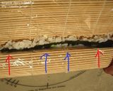 A picture of step 5 of How to Roll an Inside-Out Sushi Roll (California Rolls).