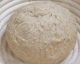 A picture of step 6 of Pain de Campagne With Lots of Whole Wheat Flour.