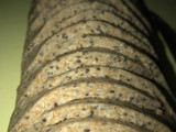 Trenza de harina integral rellena de brócoli y ricota