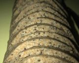 Foto del paso 10 de la receta: Trenza de harina integral rellena de brócoli y ricota