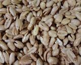 Foto langkah ke 5 dari resep Kacang bawang renyah.