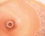 Une image de l'étape 3 de Jus de melon cantaloup charentais.