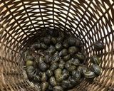 Foto del paso 1 de la receta: Caracoles a mi estilo
