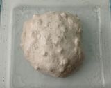 Foto langkah ke 8 dari resep Oregano Basil Cheddar Sourdough Bread (Oven Tangkring).