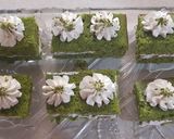 عکس مرحله 7 از دستور کیک اسفناج فاطمه پز 🥮🍰