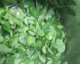 முருங்கைக்கீரை குழம்பு ரெசிபி ஸ்டேப் 1 புகைப்படம்