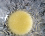 Foto del paso 5 de la receta: Flognarde de peras