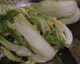 Foto langkah ke 1 dari resep Kimchi (Easy).
