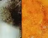 A picture of step 4 of South Indian platter.
