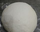 Foto del passaggio 6 della ricetta Impasto base per pizza con pasta madre
