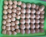 Foto langkah ke 1 dari resep Bolen Pisang no korsvet.