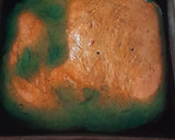 Foto del paso 4 de la receta: Torta borracha cero azúcar  y harina