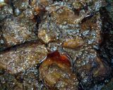 Foto langkah ke 5 dari resep Rendang Daging Praktis.