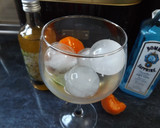 Foto del paso 2 de la receta: Gin-tonic con albaricoque y flores de saúco