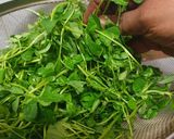 મેથી મટર મલાઈ (Methi Matar Malai Recipe In Gujarati) રેસીપી સ્ટેપ1ફોટો