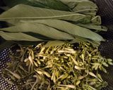 Foto langkah ke 1 dari resep Ticah Bunga Kates Daun Singkong.