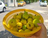 Foto del paso 1 de la receta: Mermelada de Guayaba Casera (con azúcar mascabado)