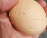 Une image de l'étape 2 de Œufs pour ramen ou Ajitsuke Tamago ou Ajitama.