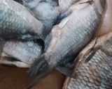 Hình bước làm 1 của món Phile cá diếc chiên giòn