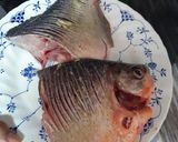 Foto del paso 1 de la receta: Pescado frito /cachama