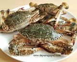 Foto langkah ke 1 dari resep Kepiting Saus Padang.