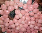 Foto langkah ke 7 dari resep [Minuman Buka Puasa] Es Pleret Pinky Tanpa Penyet.
