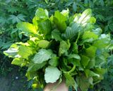 Foto langkah ke 1 dari resep Sayur Sawi Tanah Base Manis (Kamandilan).