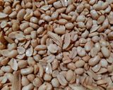 Foto langkah ke 3 dari resep Kacang Bawang Asin Gurih Dan Renyah.